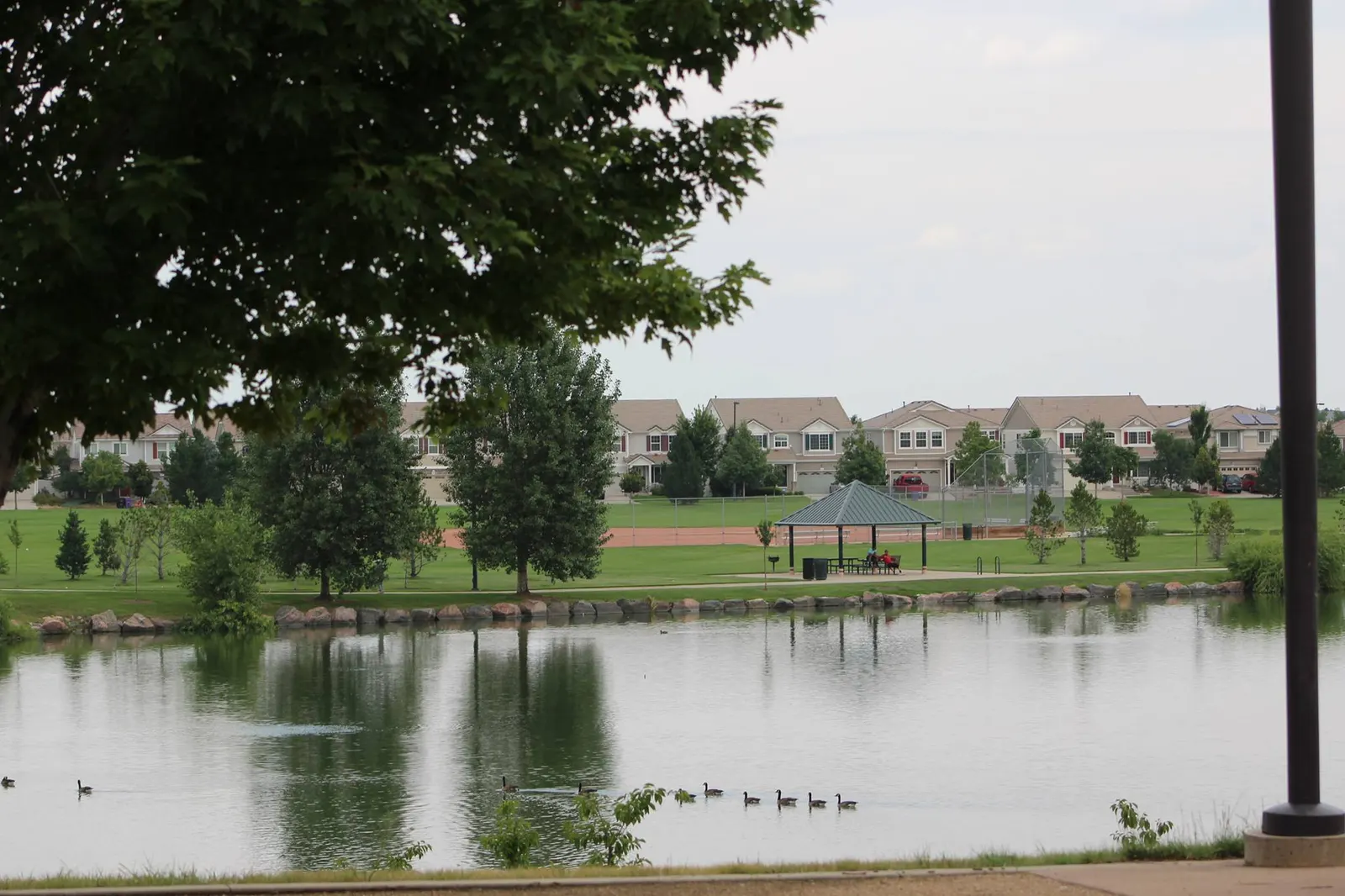 Pond and homes in Green Valley Ranch